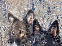 Shani und Gitan